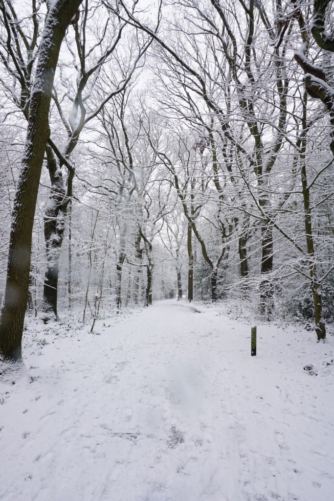 Saltwells Nature Reserve